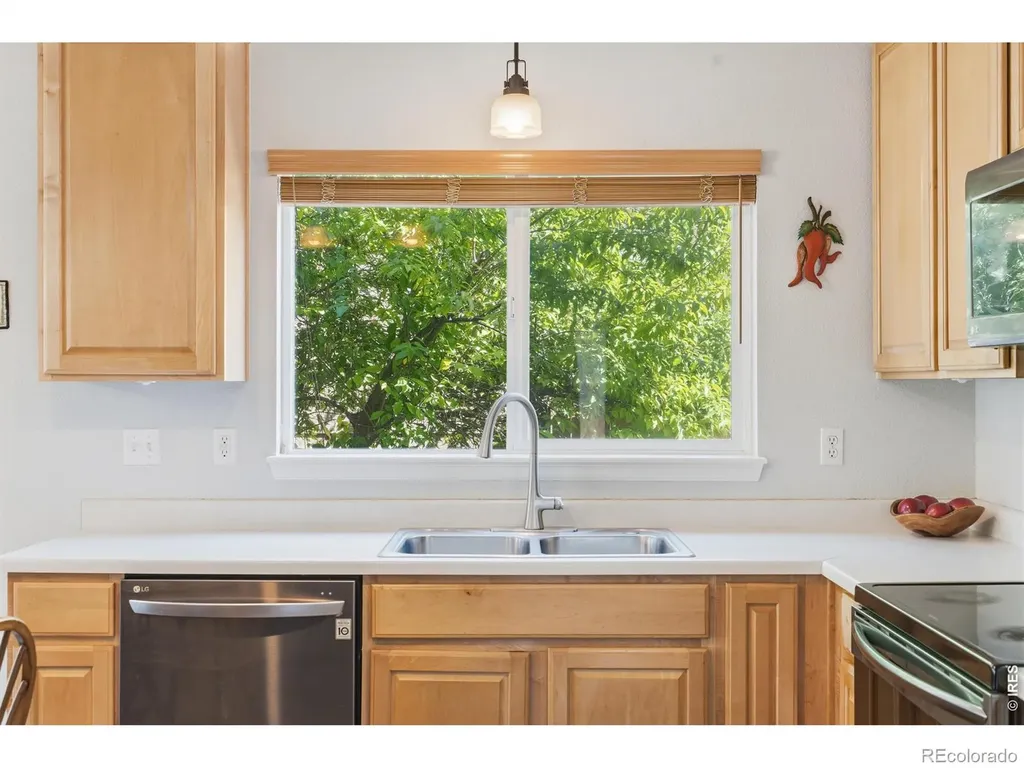 1115 Lochmore Place Fort Collins CO 80524