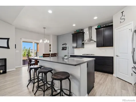 217 Saskatoon Drive Windsor CO 80550