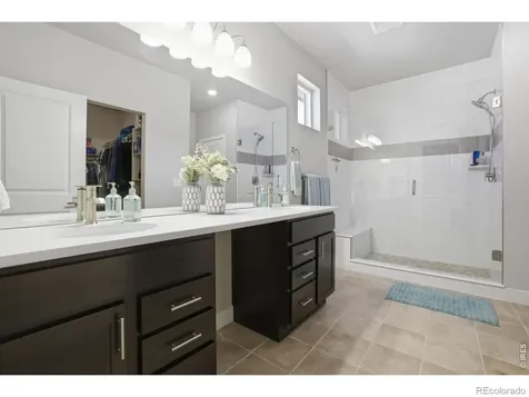 2716 San Cristobal Court Timnath CO 80547