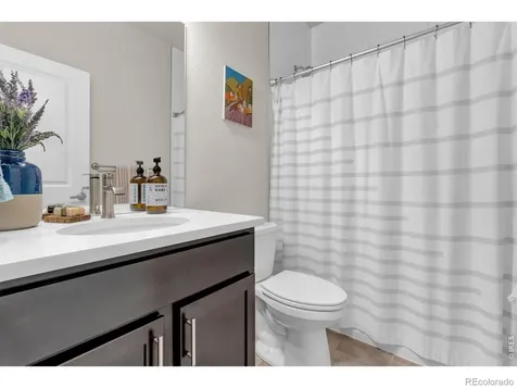 2716 San Cristobal Court Timnath CO 80547