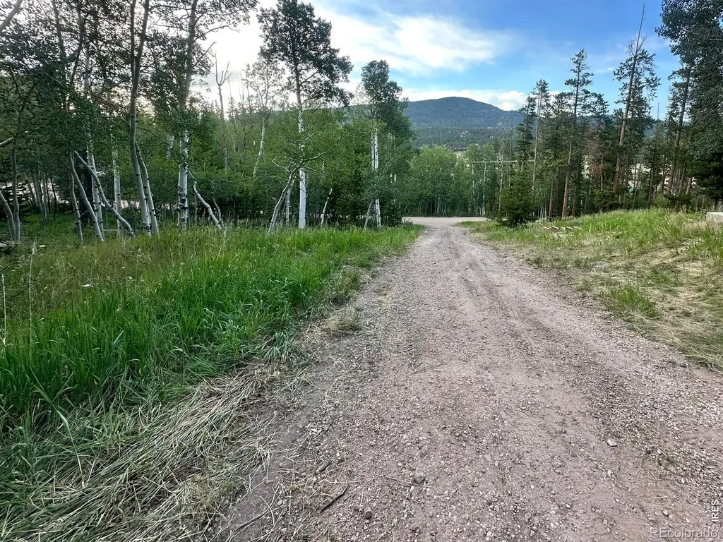 401 Blackfoot Road Red Feather Lakes CO 80545