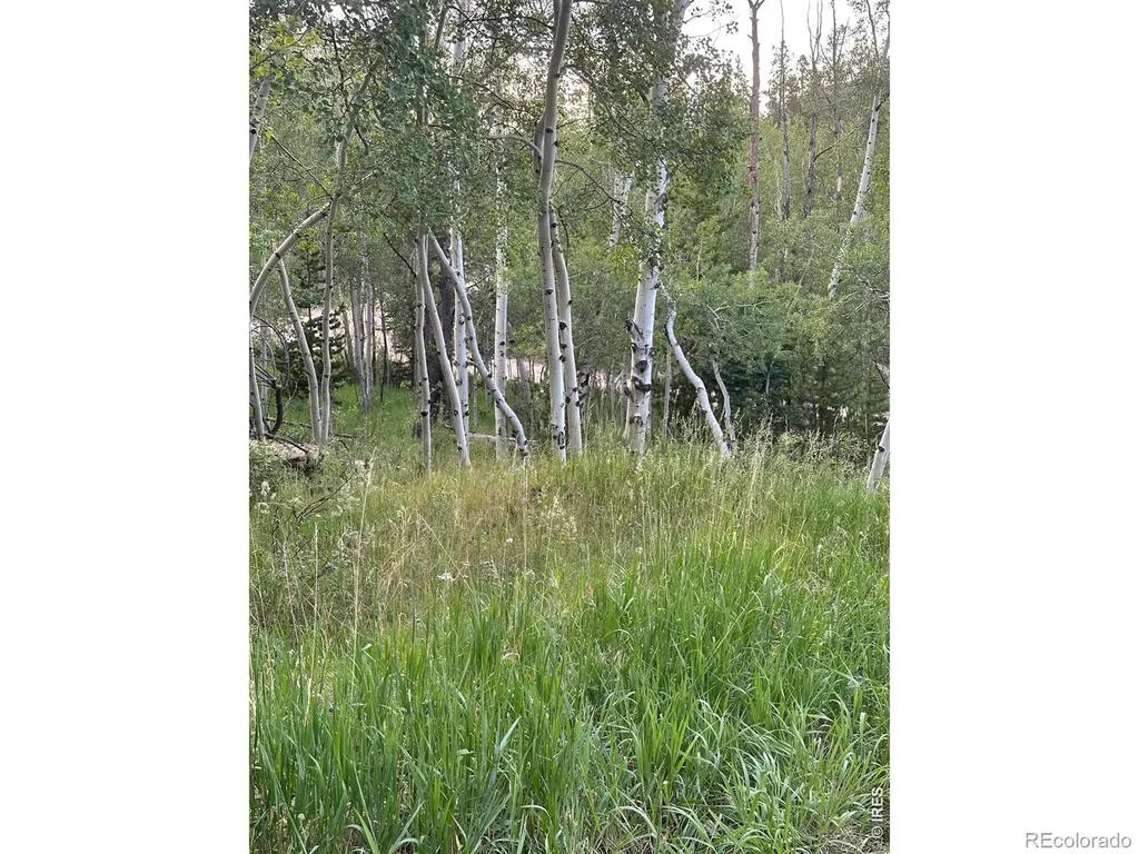401 Blackfoot Road Red Feather Lakes CO 80545