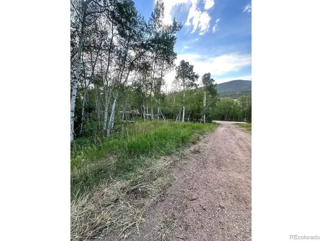 401 Blackfoot Road Red Feather Lakes CO 80545
