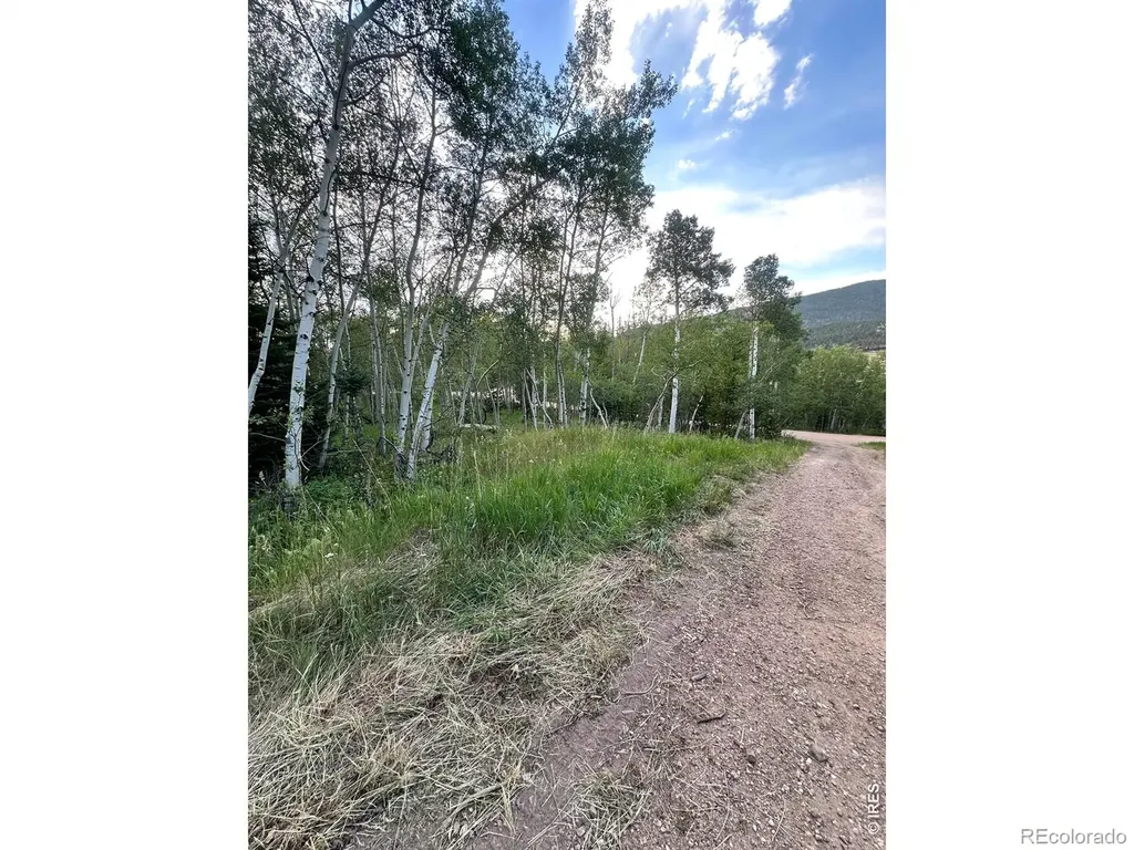 401 Blackfoot Road Red Feather Lakes CO 80545