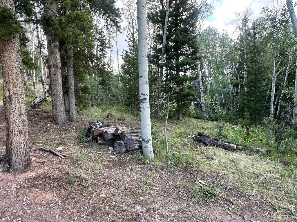 401 Blackfoot Road Red Feather Lakes CO 80545