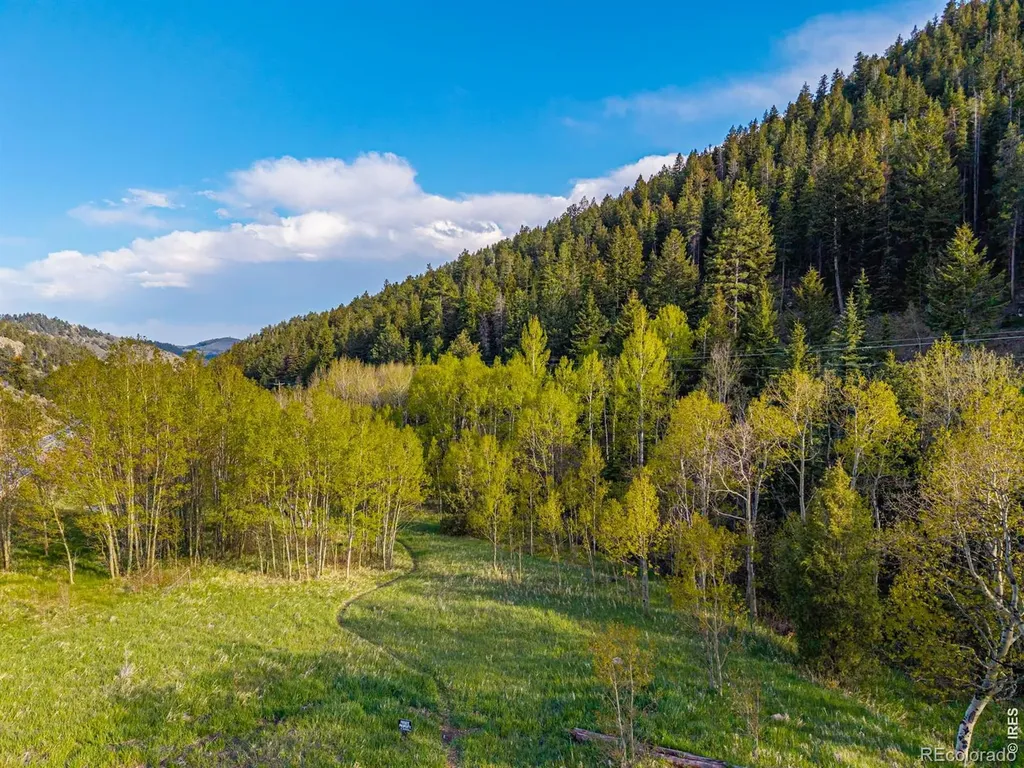 5896 Peregrine Trail Golden CO 80403