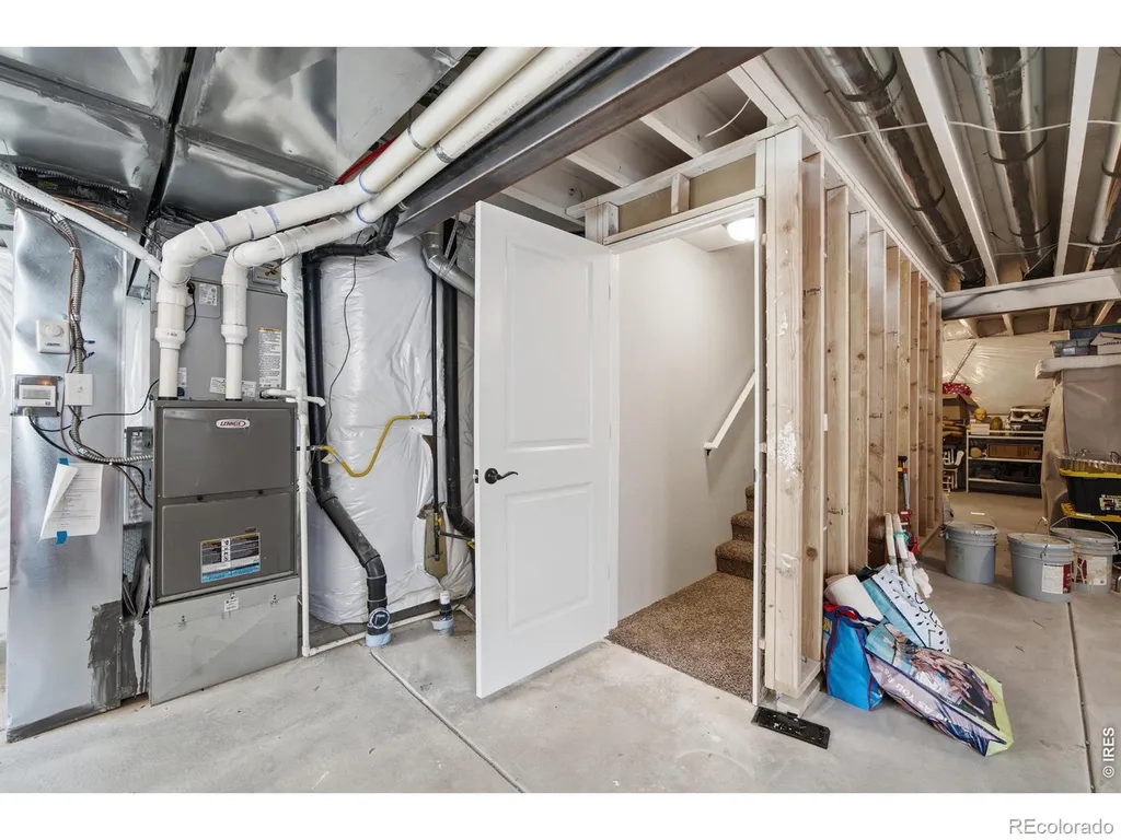 375 Aurelia Drive Windsor CO 80550