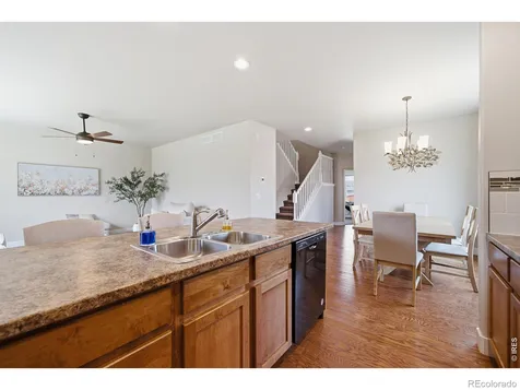 375 Aurelia Drive Windsor CO 80550