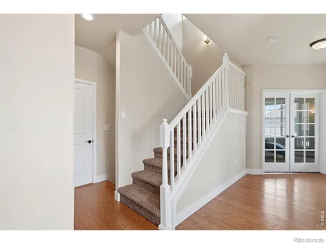 375 Aurelia Drive Windsor CO 80550