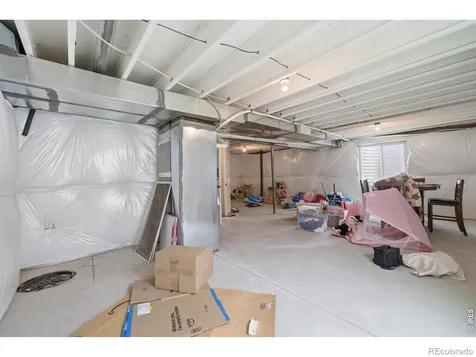 375 Aurelia Drive Windsor CO 80550