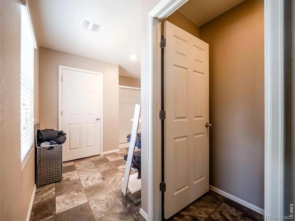 914 Charlton Drive Windsor CO 80550