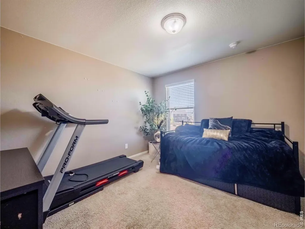 914 Charlton Drive Windsor CO 80550