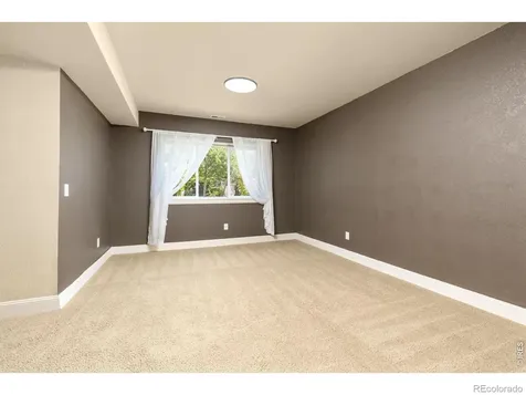 5514 Flamboro Drive Windsor CO 80550
