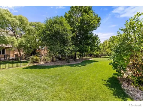 5514 Flamboro Drive Windsor CO 80550