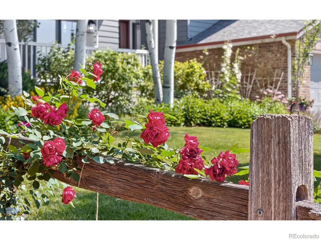 6071 Chelsea Manor Court Boulder CO 80301