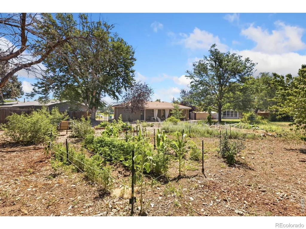 515 31st Avenue Greeley CO 80634