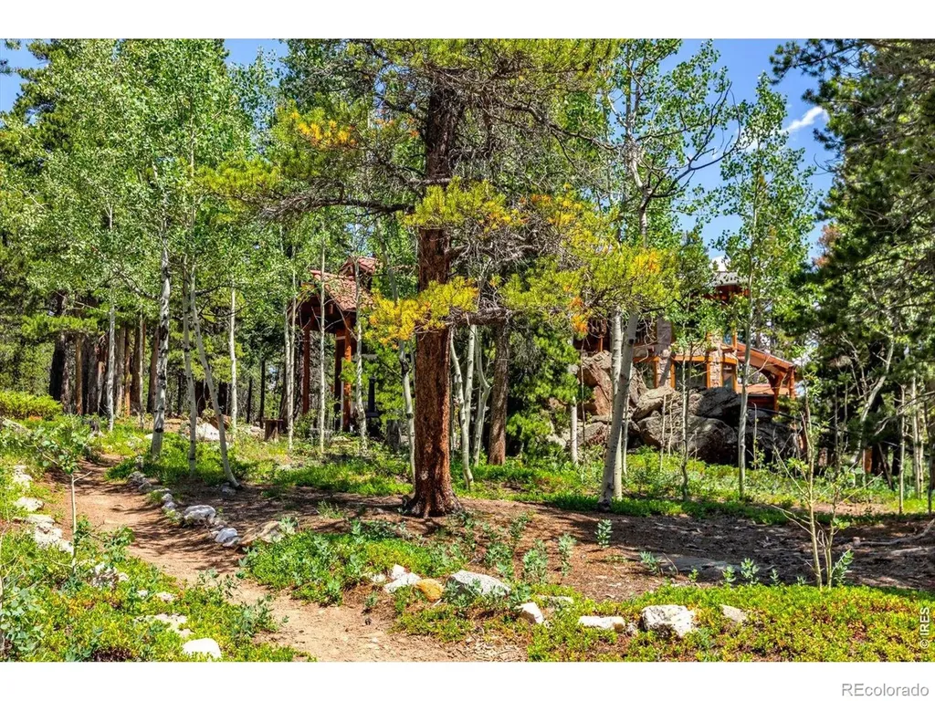 909 County Road 120j Nederland CO 80466