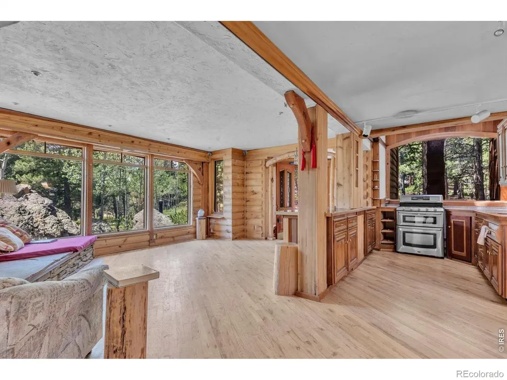 909 County Road 120j Nederland CO 80466