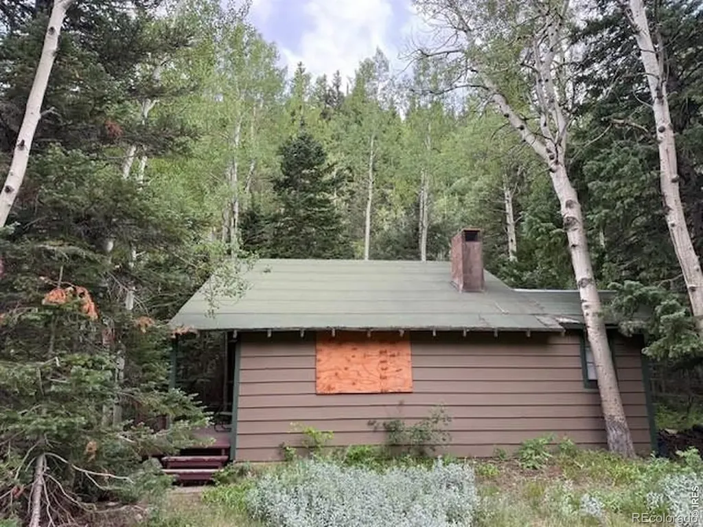 970 Bryan Avenue Nederland CO 80466