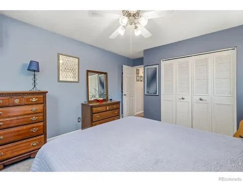1017 Cottonwood Drive Windsor CO 80550