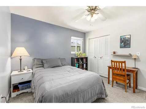 1017 Cottonwood Drive Windsor CO 80550
