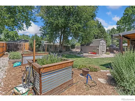 1017 Cottonwood Drive Windsor CO 80550