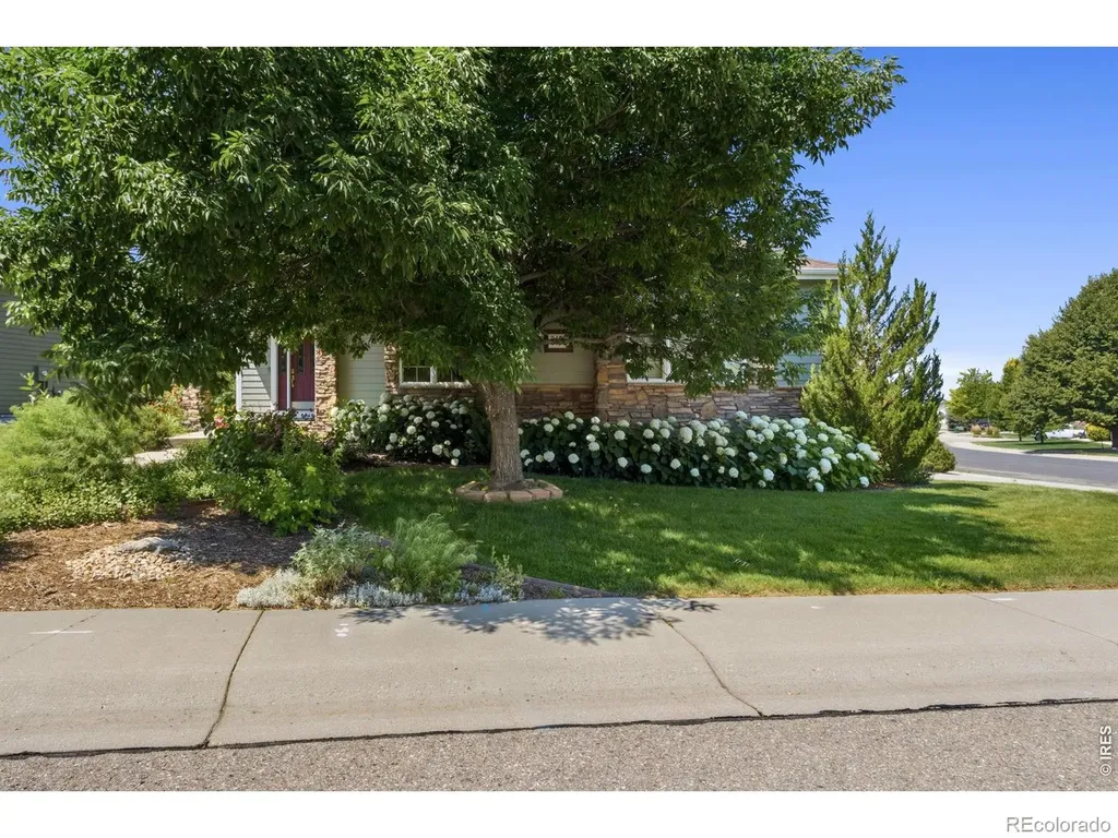8493 Castaway Drive Windsor CO 80528