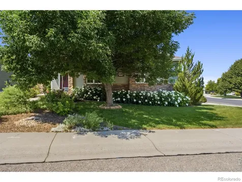 8493 Castaway Drive Windsor CO 80528