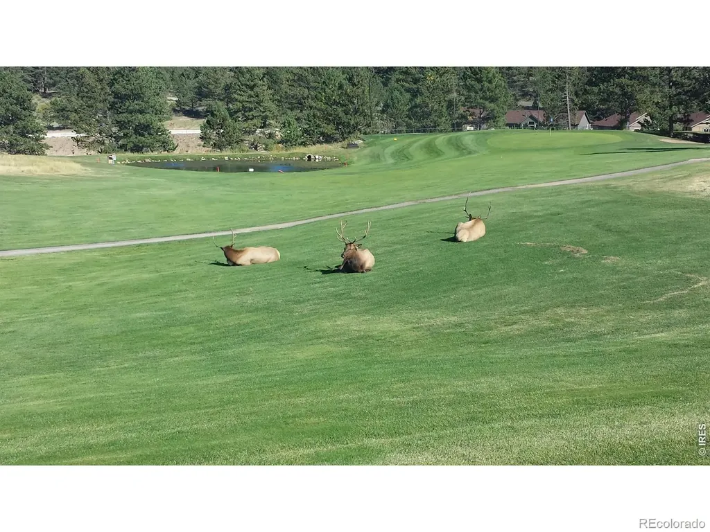 1250 S Saint Vrain Avenue Estes Park CO 80517