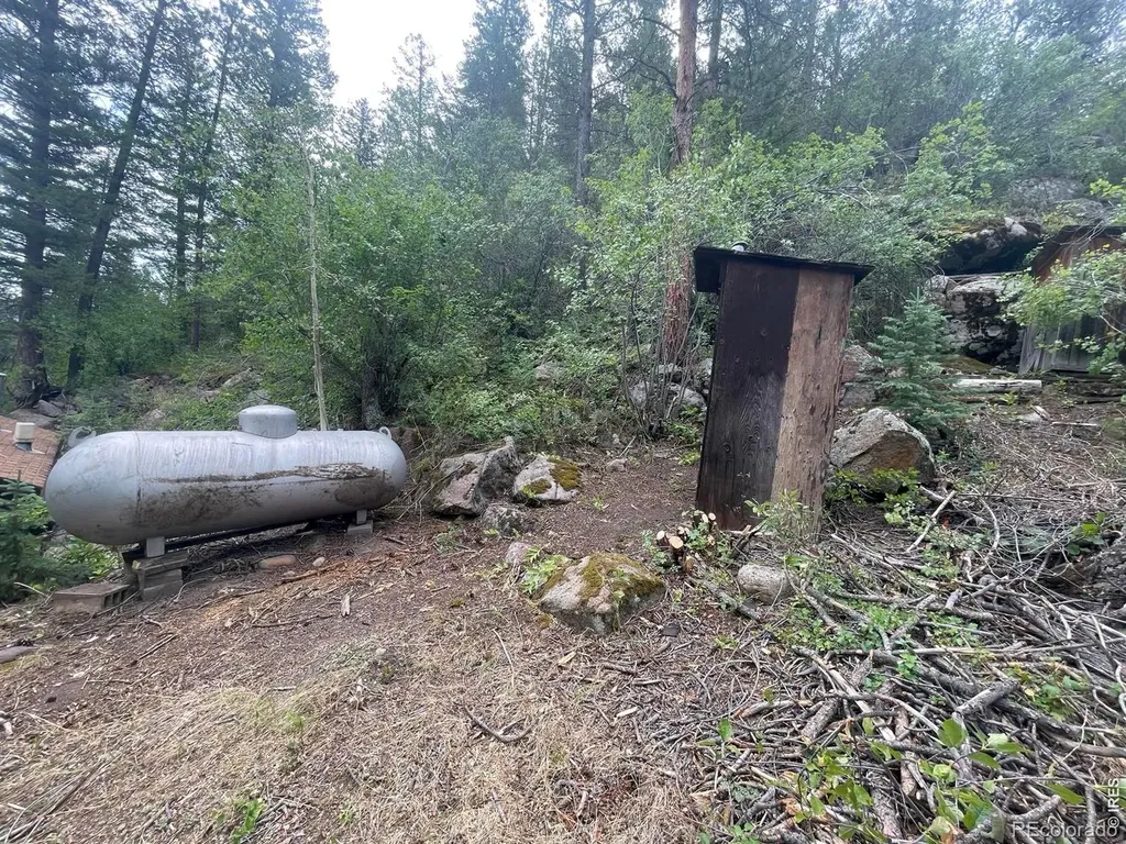 509 Riverside Drive Lyons CO 80540