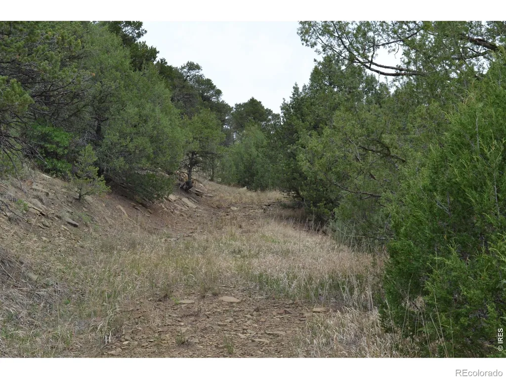 17001 Peacock Road Trinidad CO 81082