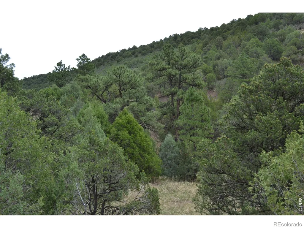 17001 Peacock Road Trinidad CO 81082