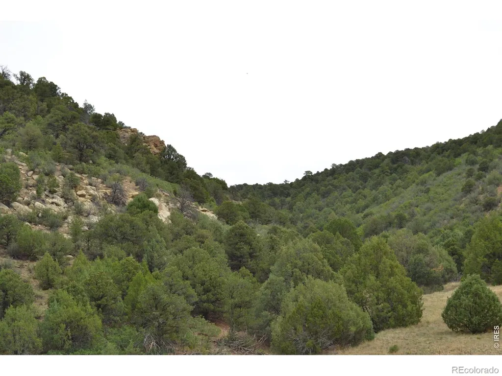 17001 Peacock Road Trinidad CO 81082