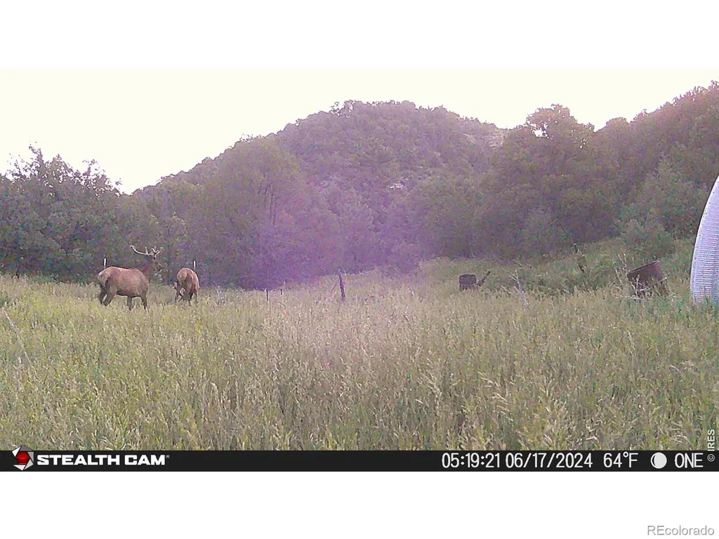 17001 Peacock Road Trinidad CO 81082