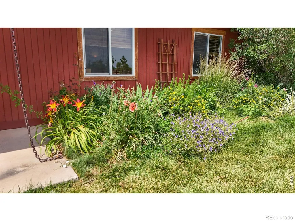 620 W County Road 74 Wellington CO 80549