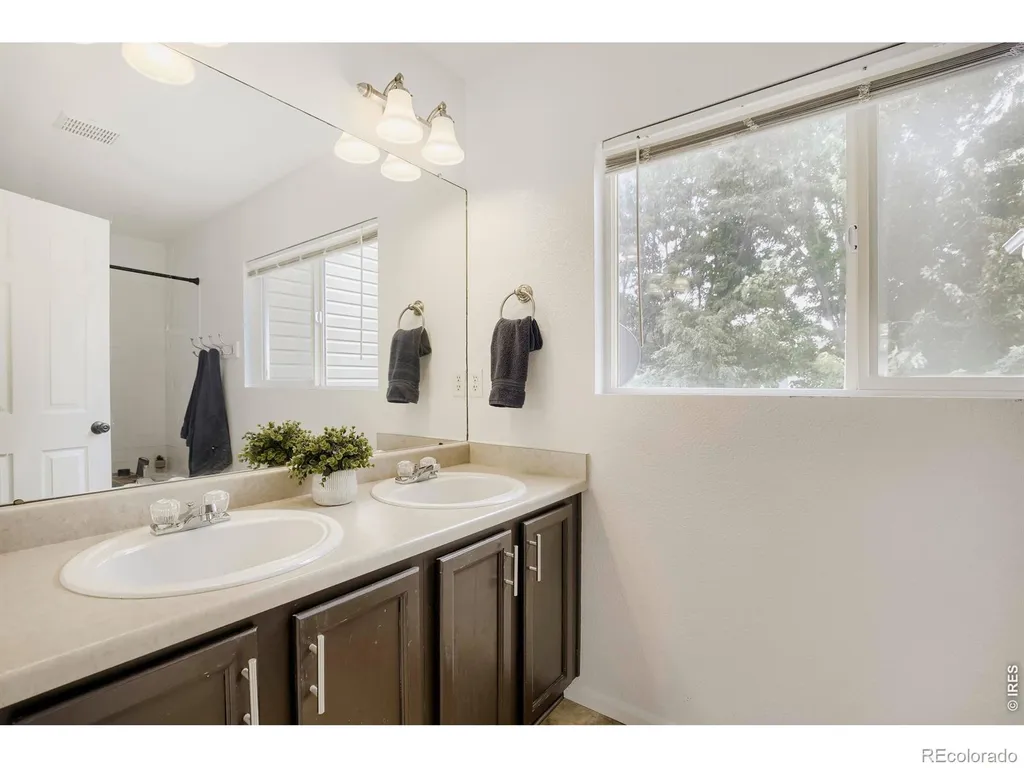 1805 Elk Springs Street Loveland CO 80538