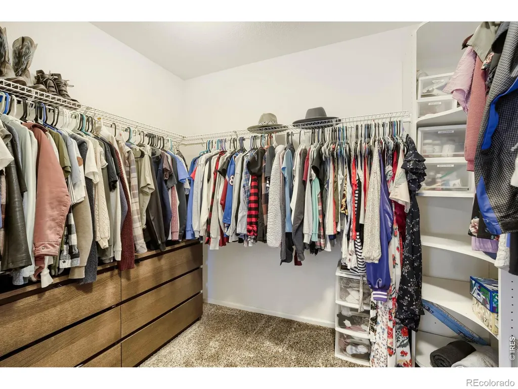 1805 Elk Springs Street Loveland CO 80538