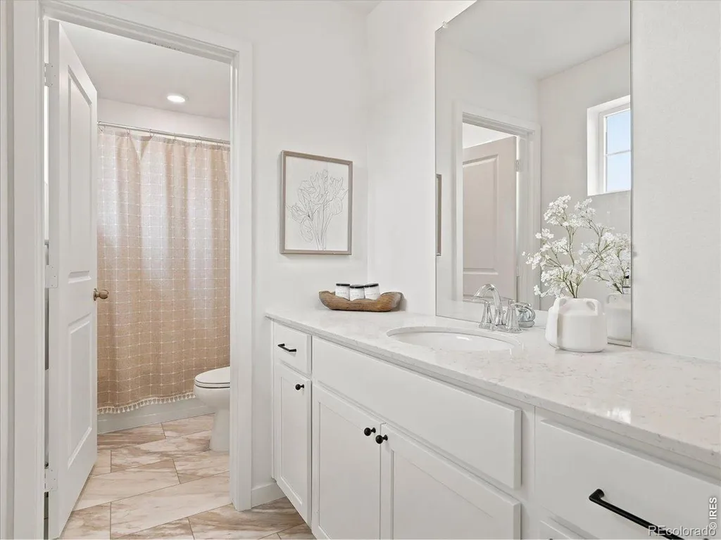 5564 Fleur De Lis Lane Timnath CO 80547