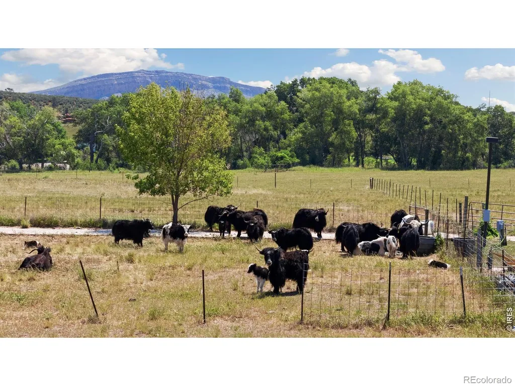 54 Rist View Road Bellvue CO 80512