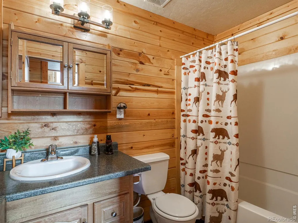 62 Algonkin Court Red Feather Lakes CO 80545