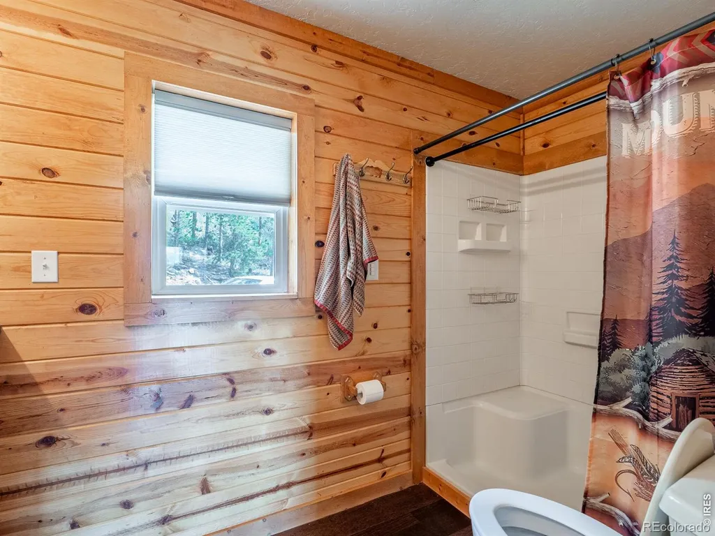 62 Algonkin Court Red Feather Lakes CO 80545