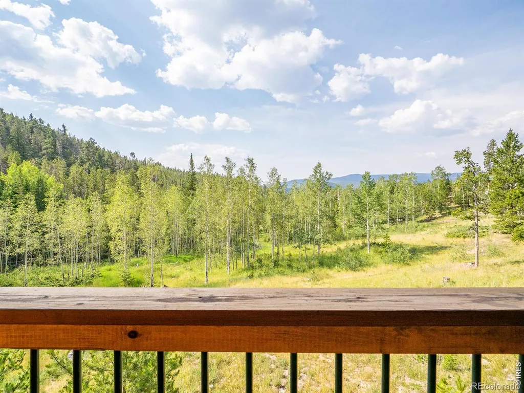62 Algonkin Court Red Feather Lakes CO 80545