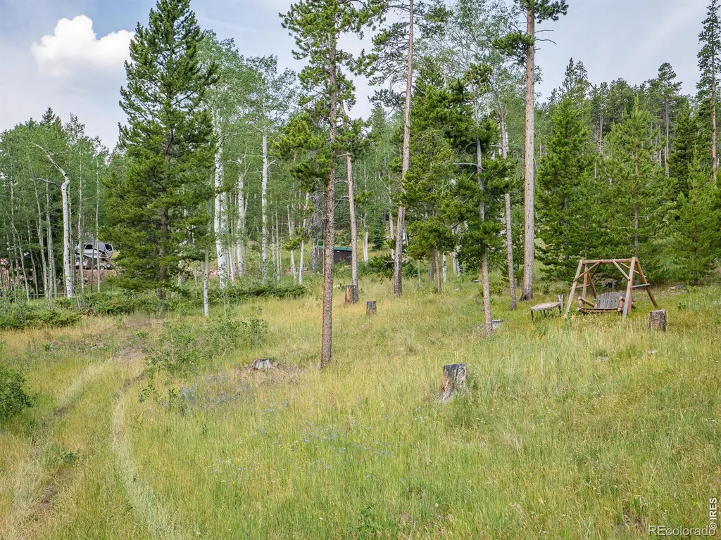 62 Algonkin Court Red Feather Lakes CO 80545