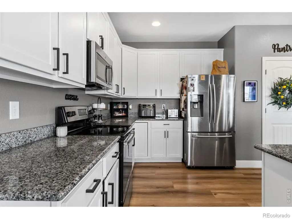 623 Vermilion Peak Drive Windsor CO 80550