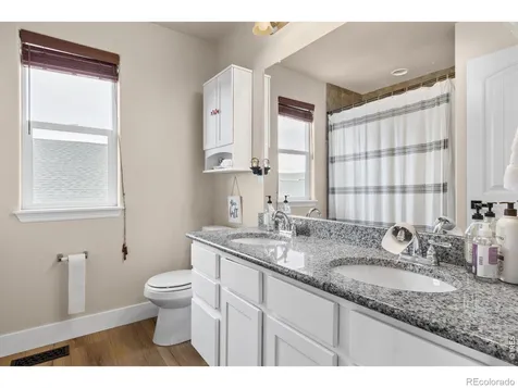 623 Vermilion Peak Drive Windsor CO 80550