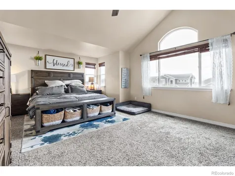623 Vermilion Peak Drive Windsor CO 80550