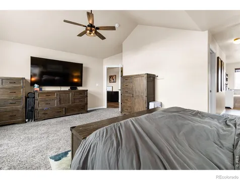623 Vermilion Peak Drive Windsor CO 80550