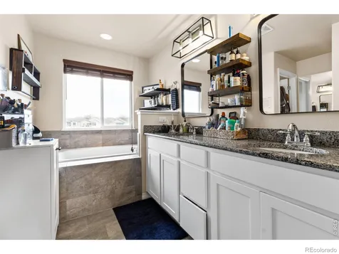 623 Vermilion Peak Drive Windsor CO 80550