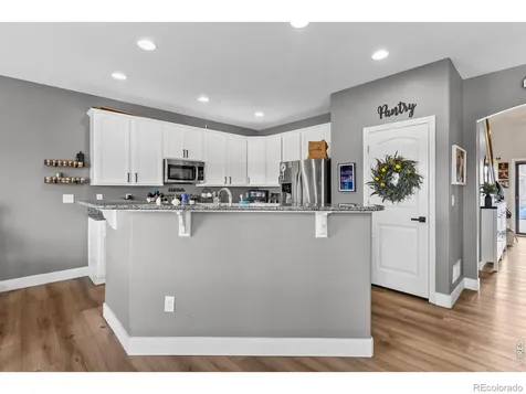 623 Vermilion Peak Drive Windsor CO 80550