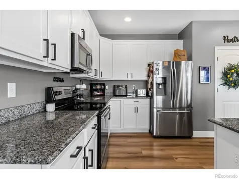 623 Vermilion Peak Drive Windsor CO 80550